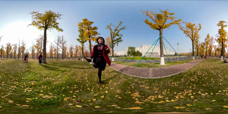 成都校园的秋天VR视频
